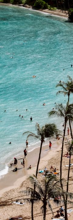 A beach with turquoise water, palm trees, and people swimming and sunbathing, creating a lively and tropical scene, ending the sentence.
