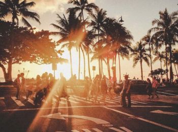 A group of people crossing a street at sunset, with palm trees in the background and the sunlight creating a warm, tropical atmosphere.
