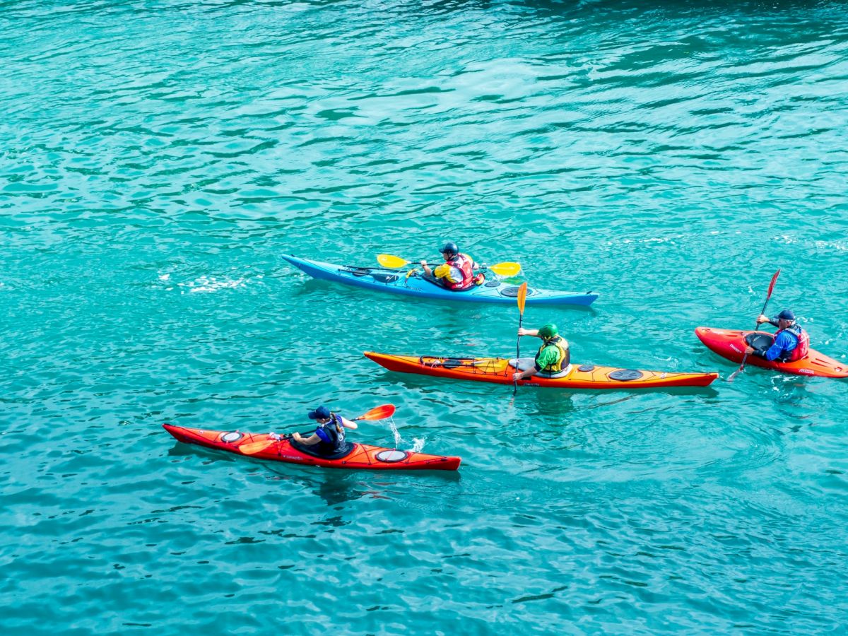 Four people are kayaking on clear blue water, each in a different colored kayak, enjoying the outdoor activity and paddling in close proximity.